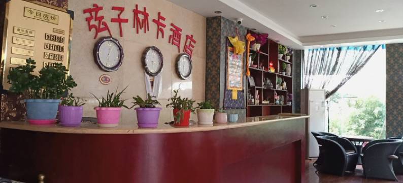 巴塘弦子林卡酒店图片