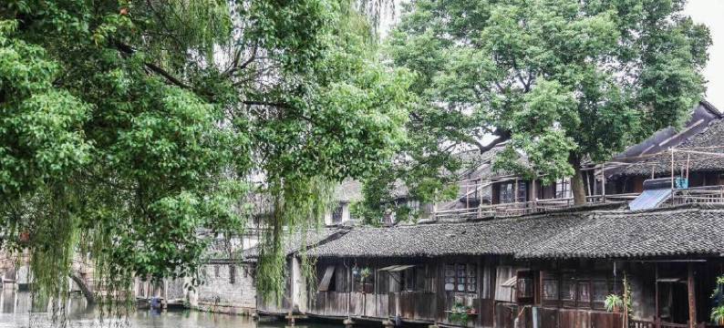 乌镇姚叔叔家民宿图片