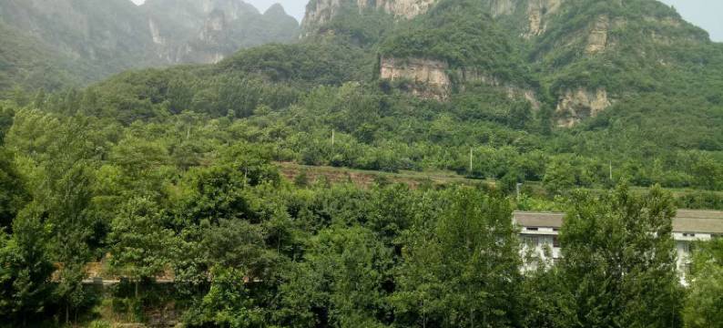 蟒河53号农家乐图片