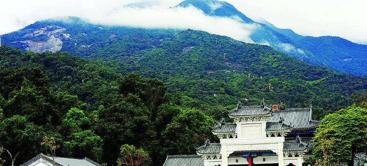 罗浮山道家香酒店图片