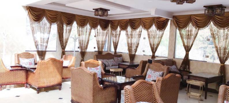 宝兴卫佳大酒店图片