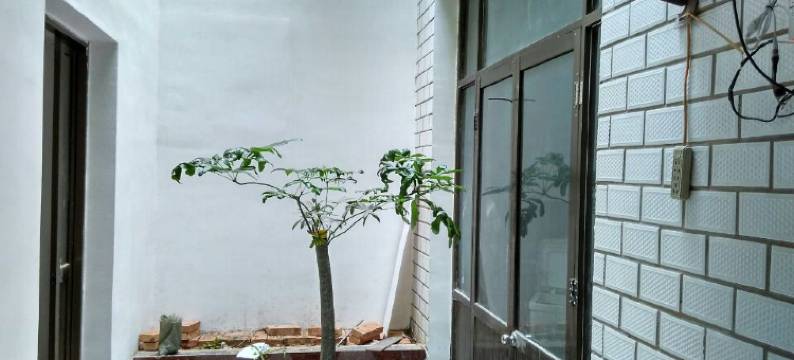 故城佳乐旅馆图片