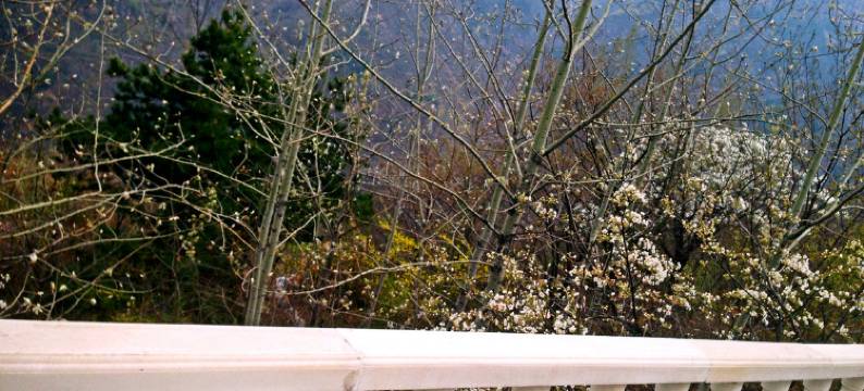 万仙山郑州sunny假日酒店图片