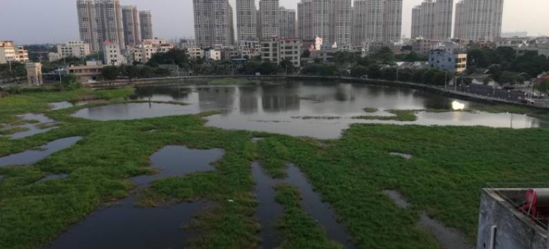 海口雅居乐精品酒店(五源河体育场店)图片
