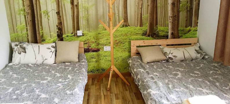 老河口金树楼宾馆图片