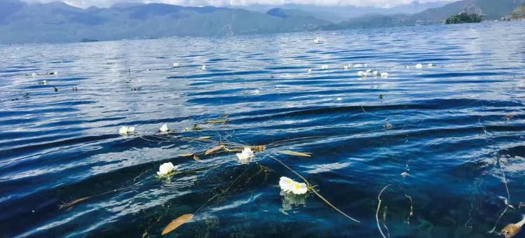 泸沽湖馨娜咪联安说民宿图片