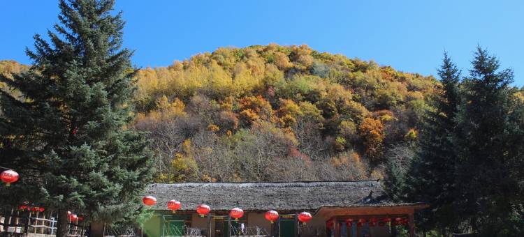 宁城松枫山庄图片