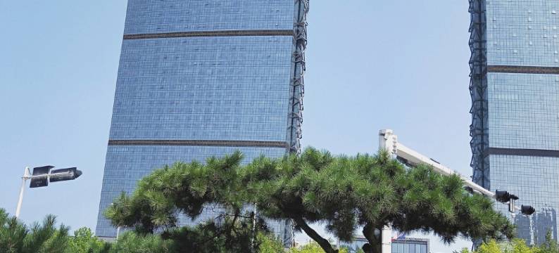 青岛铂港公寓图片