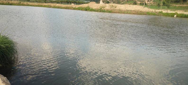 交城山水农家饭店图片