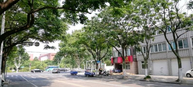 泰州金色年华旅店图片