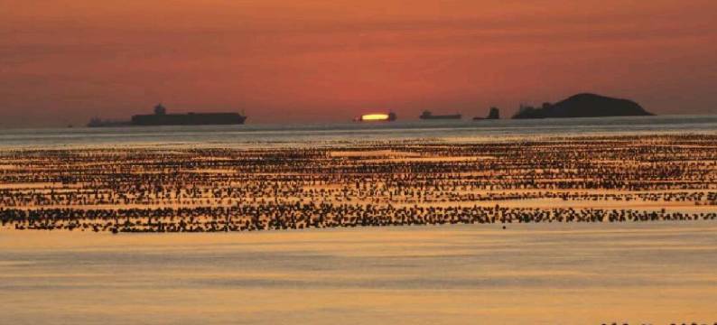 嵊泗枸杞岛聚缘阁渔家乐图片