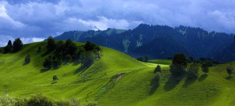 IU酒店(伊宁上海城店)图片