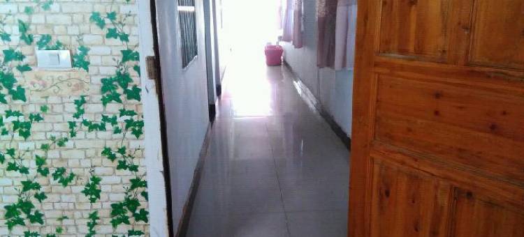 公安樱花树旅馆图片