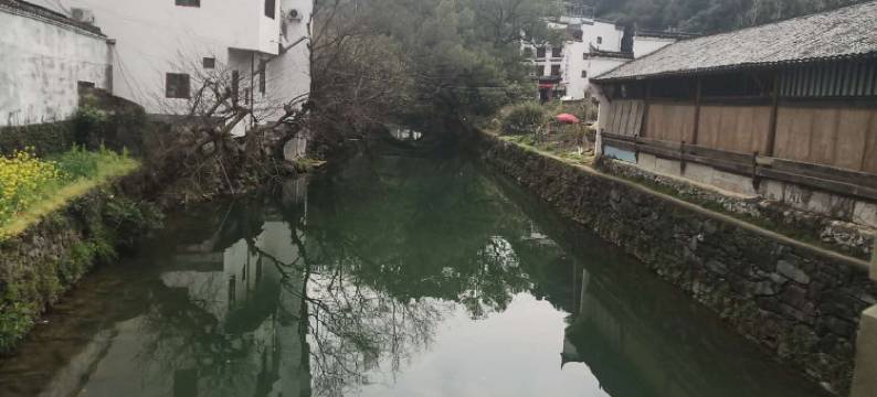 婺源友贤居图片