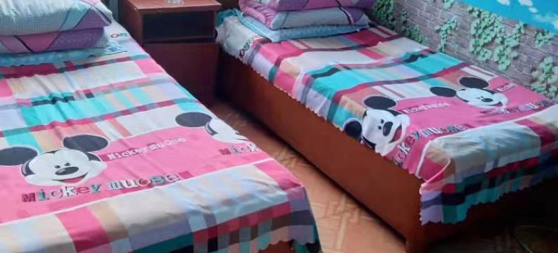 绥棱四海店镇心悦旅店图片