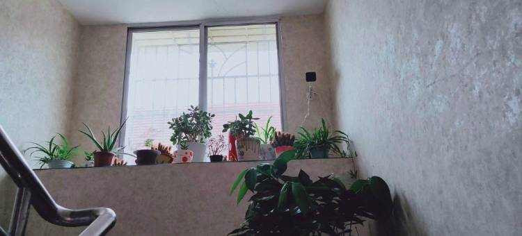 罗江怡佳宾馆图片