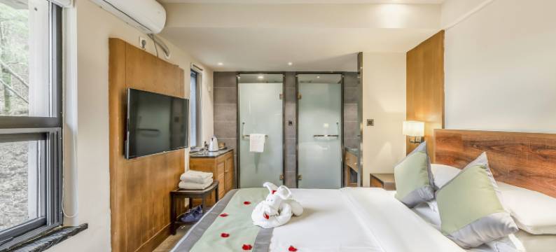 嵩县白云人家度假酒店图片