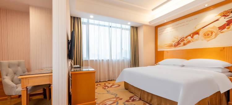 维也纳3好酒店(东莞道滘汇丰国际店)图片