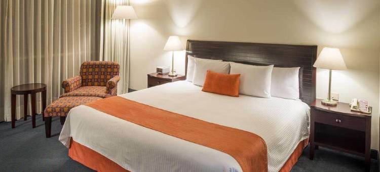 郑州康居宾馆图片