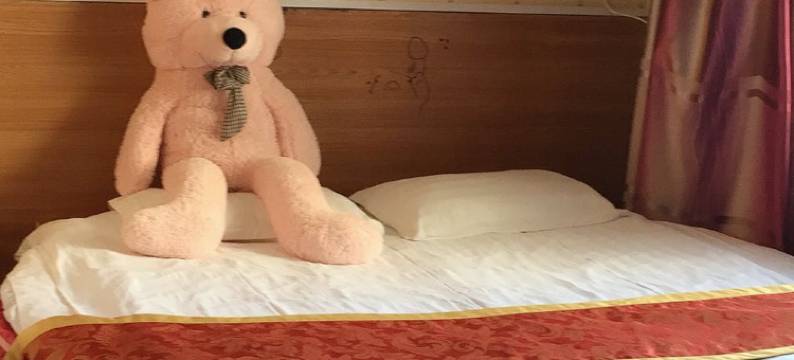 哈尔滨泰迪熊主题宾馆图片