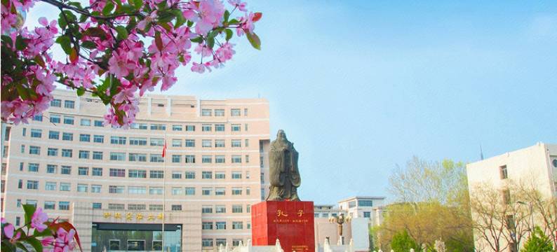 曲阜唯娜主题宾馆图片