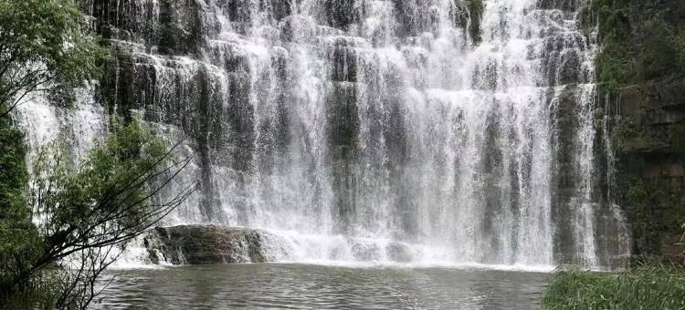 林州美林酒店图片