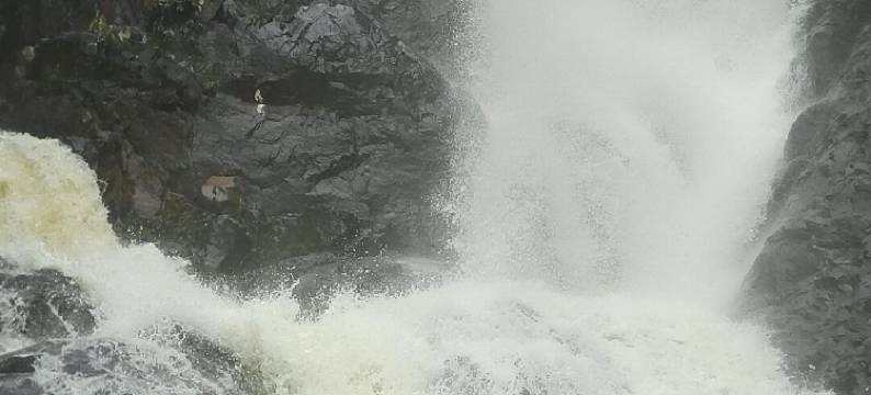 五指山南国夏宫酒店图片