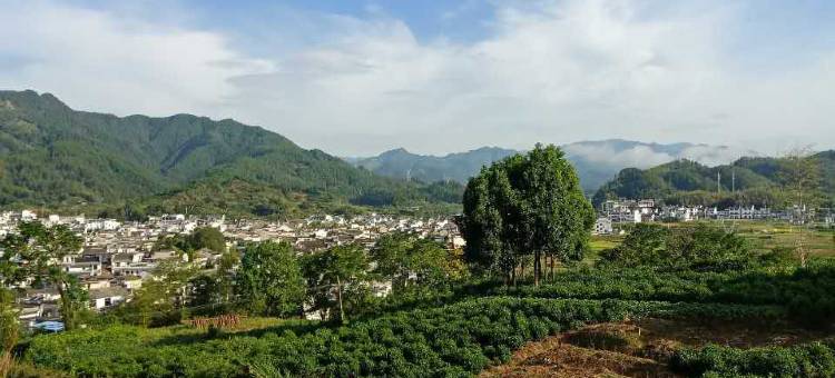 黄山幽居客栈图片