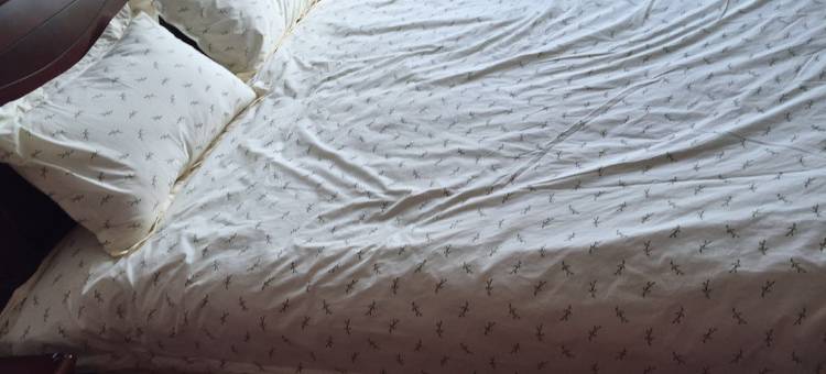 武功山山水户外驿站图片