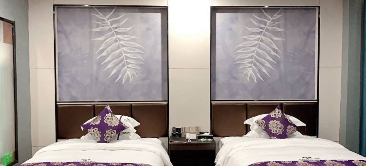 合山红水河之星大酒店图片