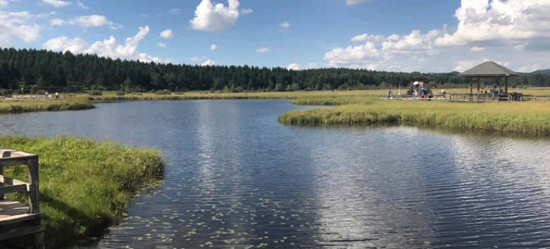 塞罕坝杰事杰民宿图片