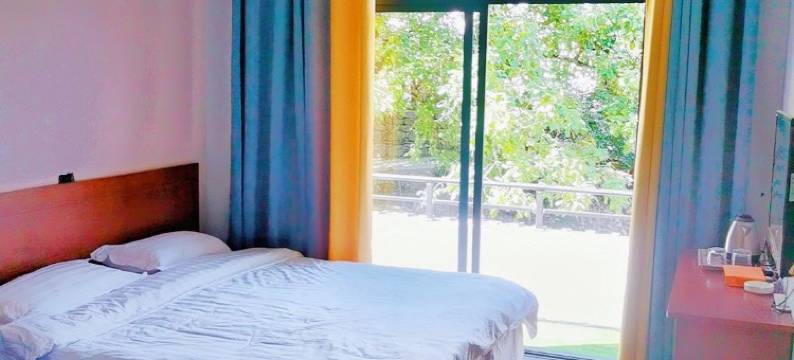 一朵牡丹小院图片