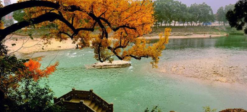 宁波红泰宾馆图片