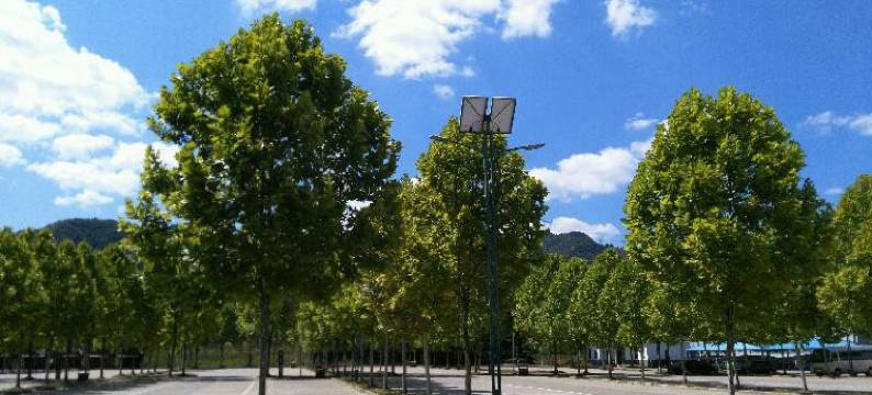 栾川众和山庄图片