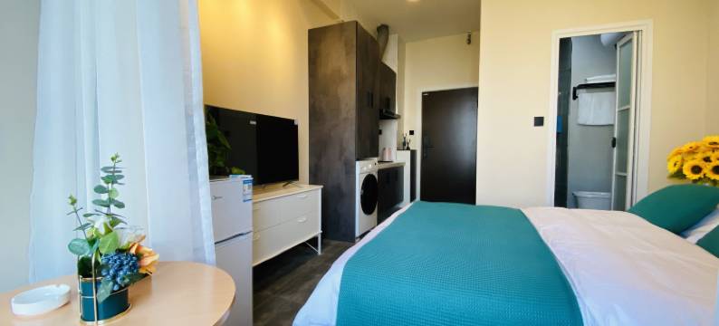 长春艺墅拾光公寓图片