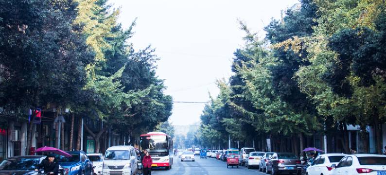 成都汇家商务酒店图片