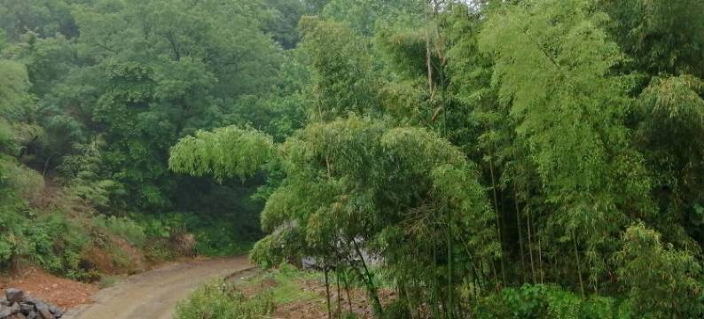 桐庐恩典之家民宿图片