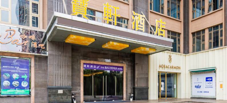 深圳宝轩酒店(罗湖口岸大剧院地铁站店)图片