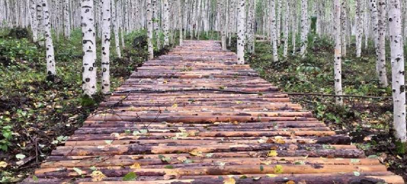 北极村君悦客栈图片