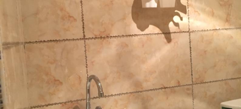 仪陇顺得宾馆图片