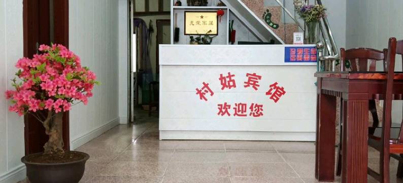 铜陵村姑宾馆图片