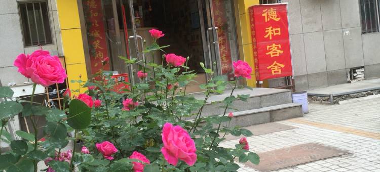 大连德和客舍图片