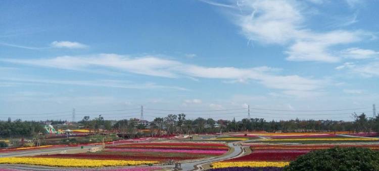 青季酒店MINI(上海周浦繁荣路地铁站店)图片