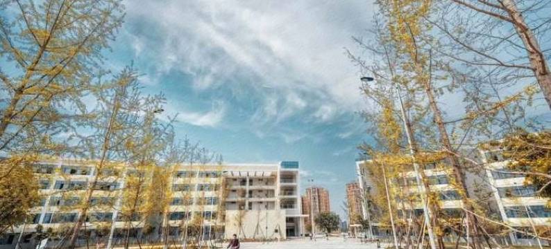 成都寓见家酒店图片