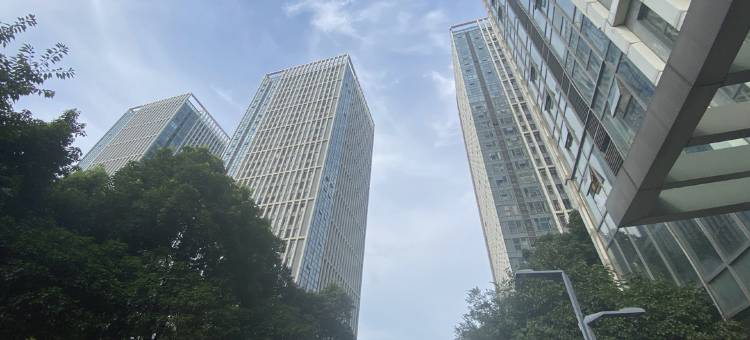 锤子民宿图片