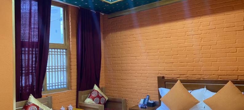 金川藏红主题客栈图片