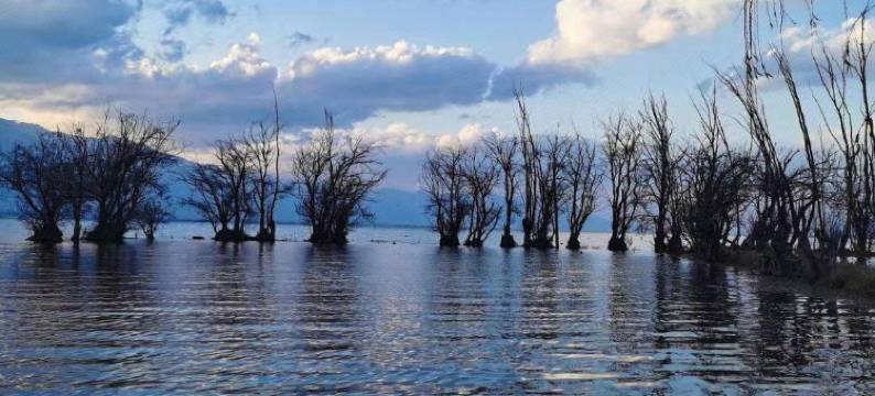 大理栖岸主题酒店图片