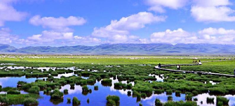 若尔盖西御大酒店(汽车客运中心店)图片