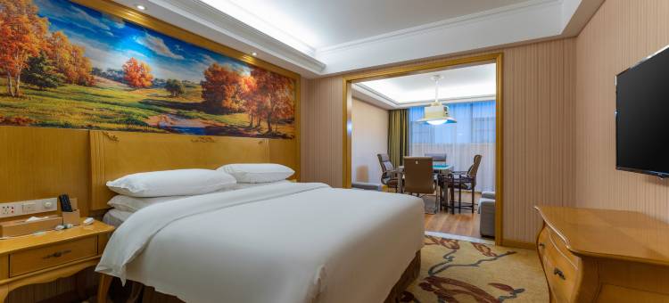 维也纳酒店(襄阳钻石大道二汽店)图片