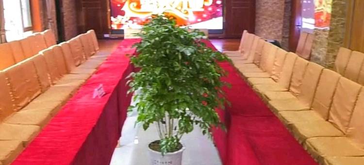 延长美华酒店图片